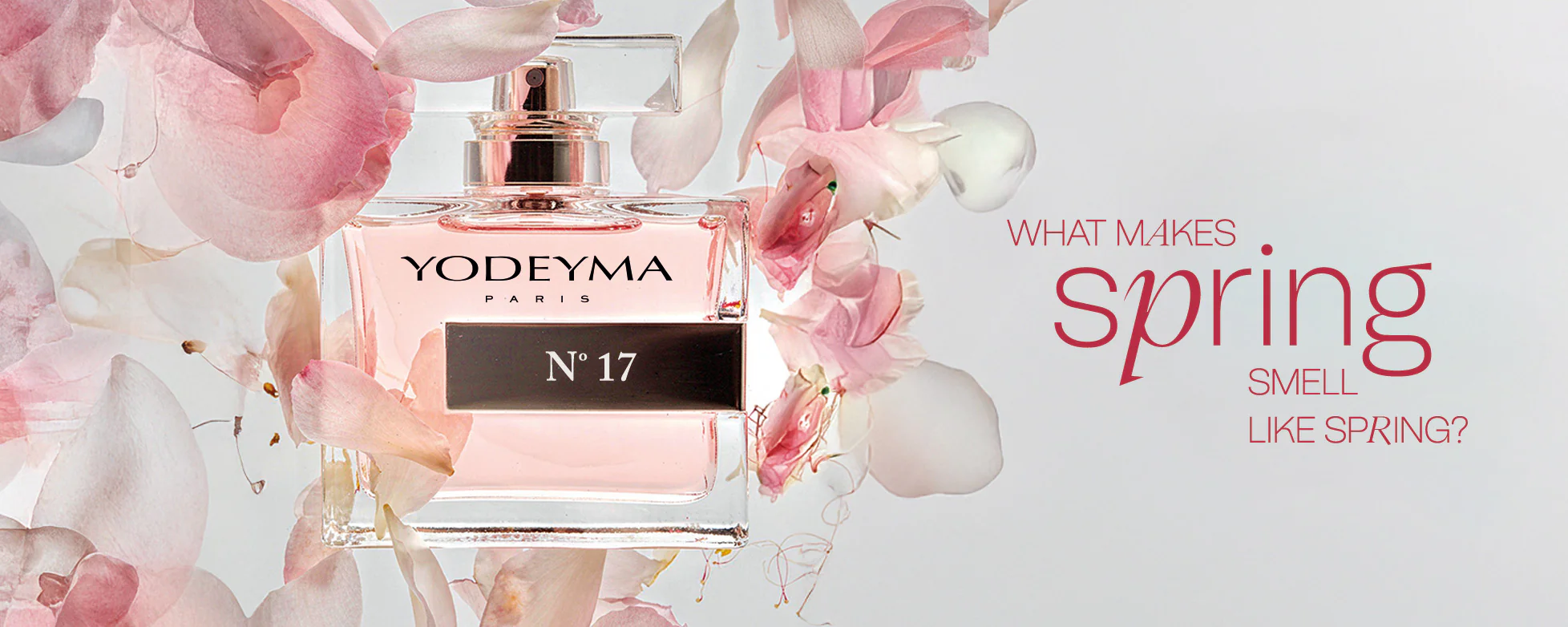 Your Signature Scent Awaits